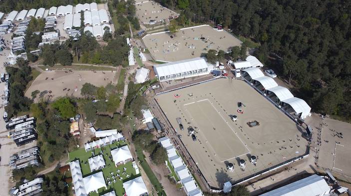image Le Grand Parquet de Fontainebleau, là où s’illustrent les légendes
